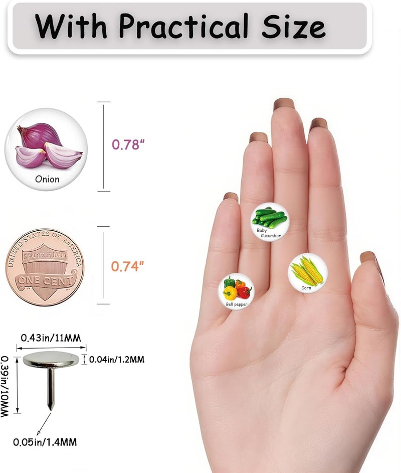 Tandarui Push Pins for Cork Board -24pcs Decorative Push Pins with Case,Cute Thumb Tacks and Pushpins for Bulletin Board, 12 Colors Vegetables Pushpins - Image 4